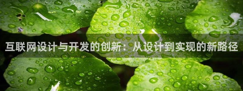 九游会提款靠谱吗