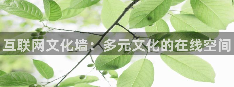 九游会官网个人中心登录