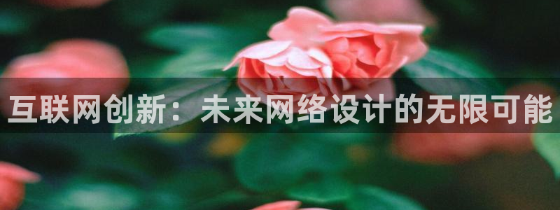 九游与九游会