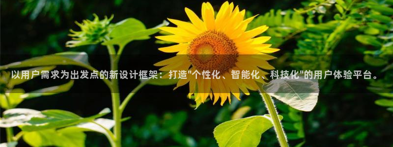 ag九游会老哥