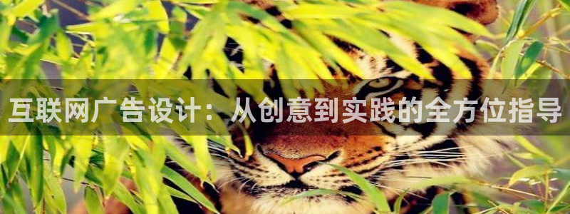 九游会官方网站