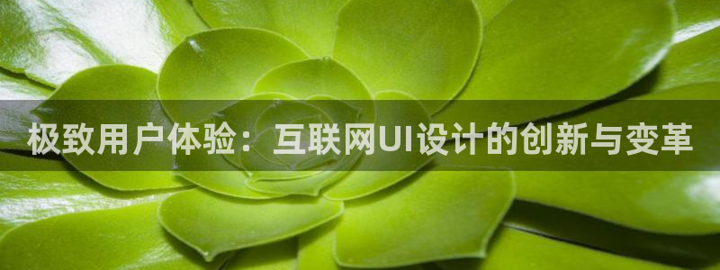 九游会体育开户