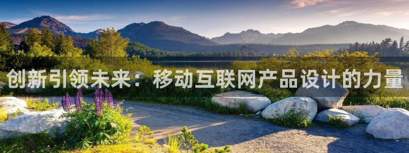 九游游乐会：创新引领未来：移动