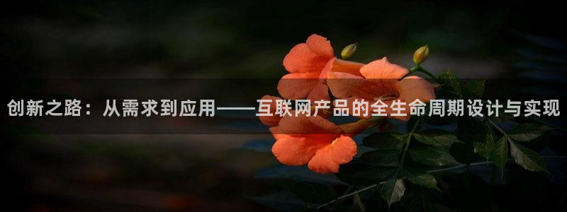 九游与九游会新选择：创新之路：