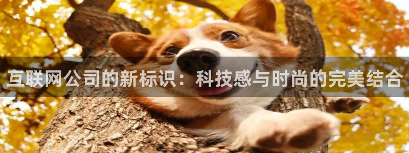 j9九游会路单
