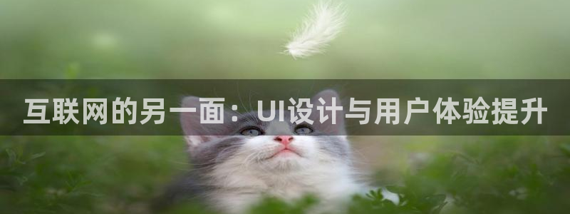 九游会a8g官网：互联网的另一