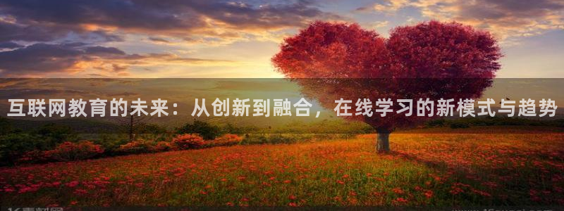 九游会官网手机版：互联网教育的
