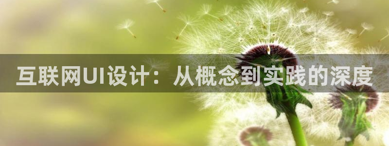 ag亚洲九游会：互联网UI设计