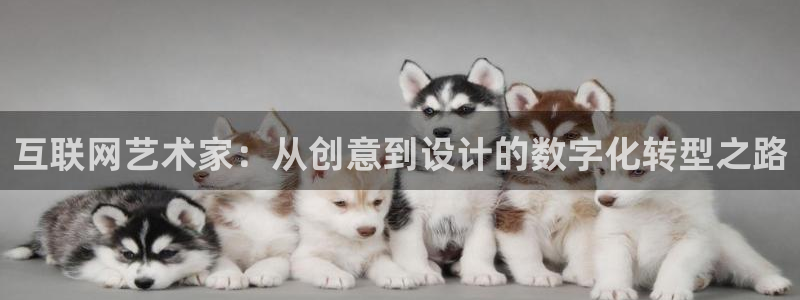 九游会怎么打不开了