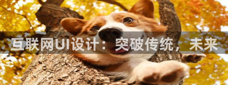 河曲灯游会九门的寓意
