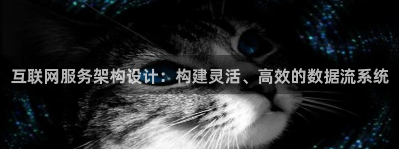 九阴手游青龙会怎么玩