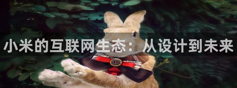 ja九游会
