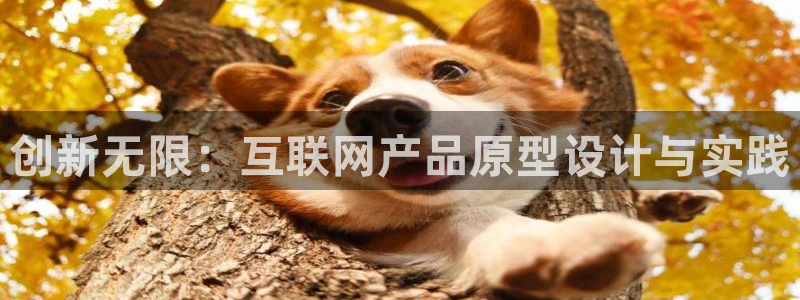 九游会官方链接