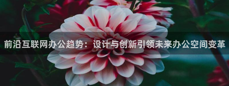 九游会老哥交流