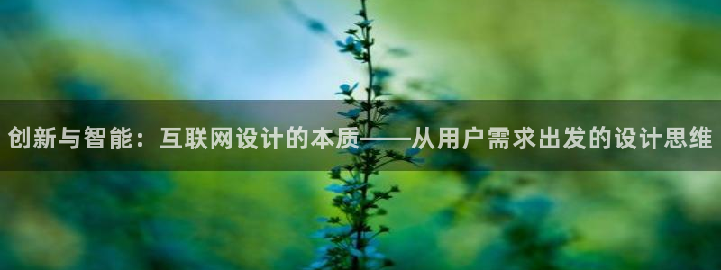 ag亚游九游会