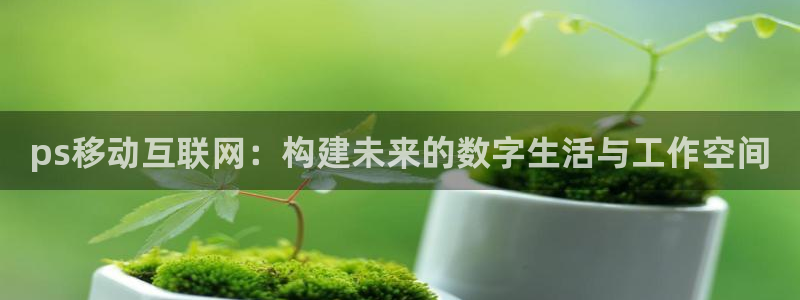 北京冬奥会九游：ps移动互联网