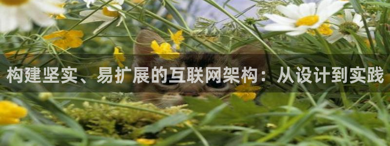 九游会官网贴吧下载安装：构建坚