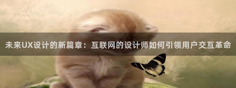 九游会体育-首页：未来UX设计