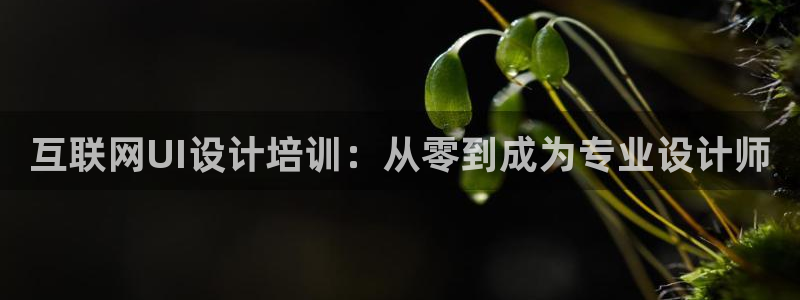 ag九游会亚洲官网