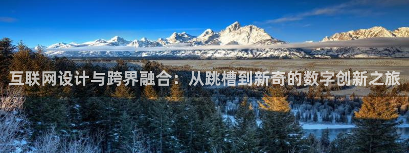九游会真人官网：互联网设计与跨