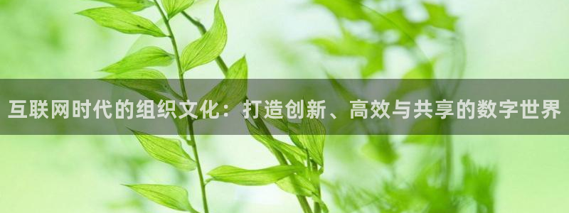 九游会平台稳定吗：互联网时代的