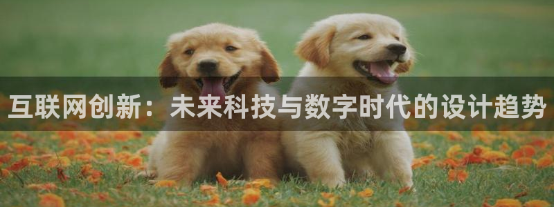 九游九游会官网