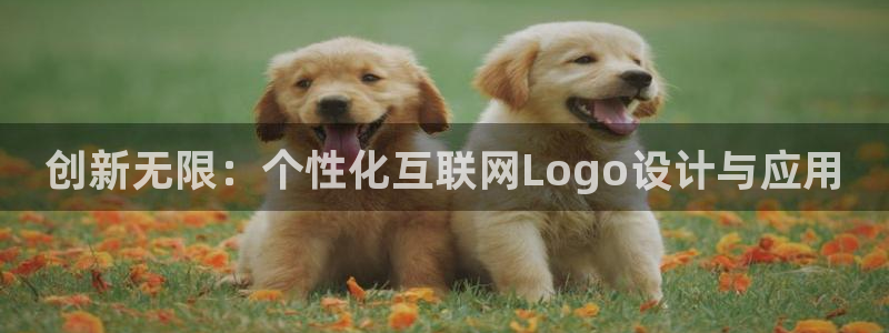 九游会电竞竞猜：创新无限：个性