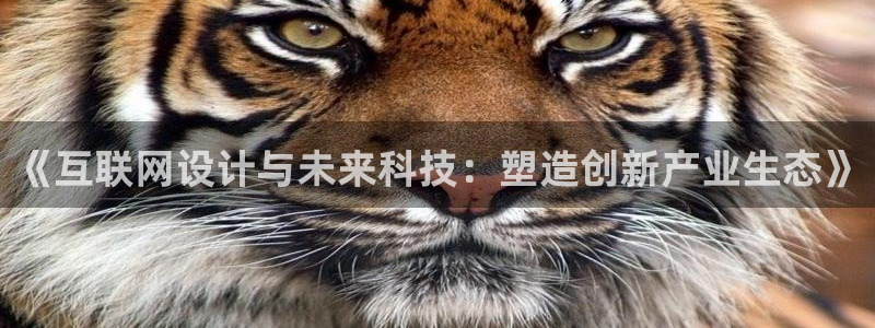 9九游会网站：《互联网设计与未