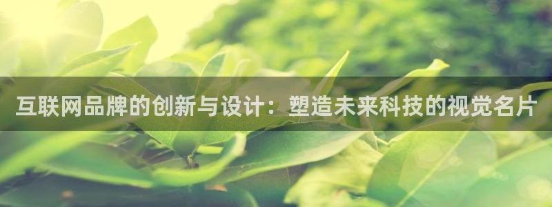 九游会网站网址：互联网品牌的创