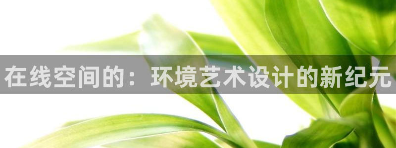 九游会亚洲登录：在线空间的：环