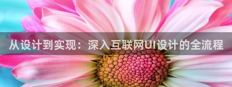 九游会官方网站中心