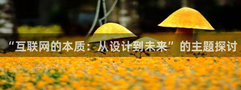 ag九游会登录大厅