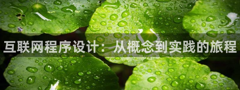 手机九游会