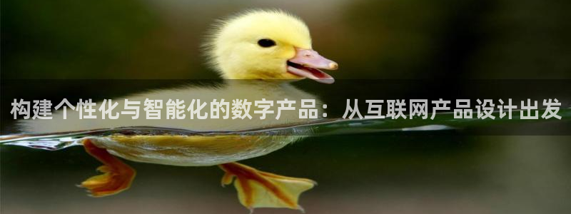 九游会网址导航