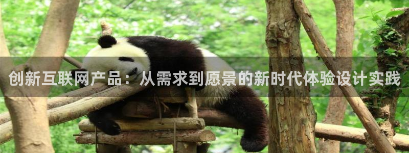 九游会j9论坛