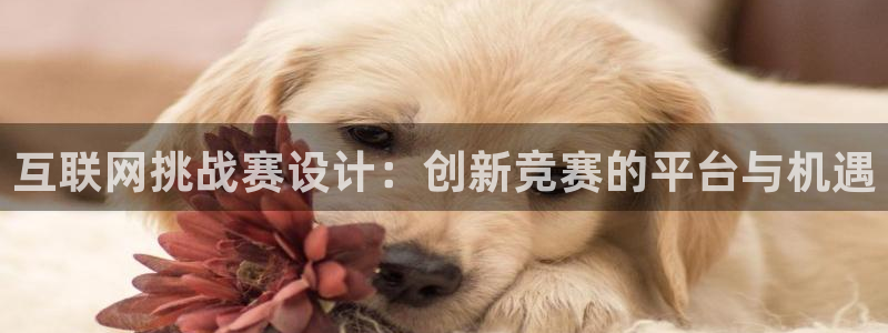 九游会黑台