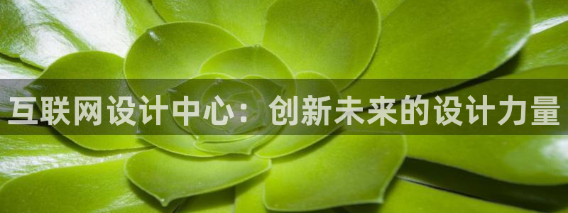 九游会ag真假：互联网设计中心