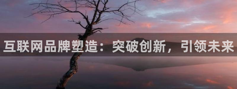 j9九游会网址：互联网品牌塑造